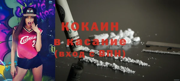 молекула духа Богородск