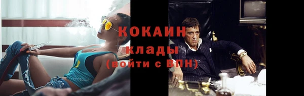 молекула духа Богородск
