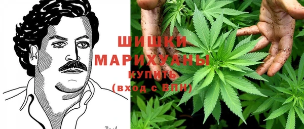 прущие крисы Белокуриха